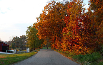 Going home..., graphy, landscape, farm, colors, beautiful, beauty, background, abstract, trees, road, fench, , home HD wallpaper