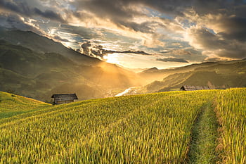 Capture of a serene mountain valley at sunrise with lush rice paddies and rustic huts. HD wallpaper