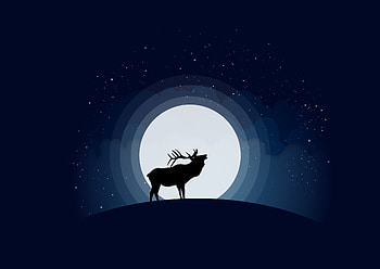 Deer, moon, ning, minimal, shadow, digital art HD wallpaper