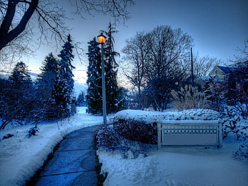 Winter Evening, trees, river, snow, park HD wallpaper