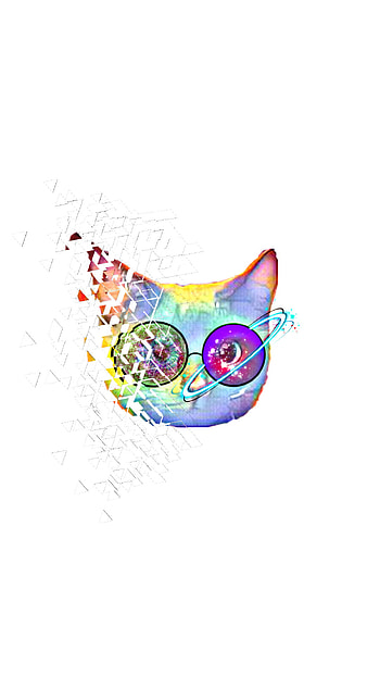 Gato con gafas HD phone wallpaper