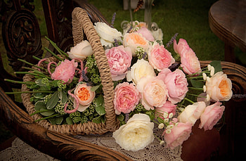 Flowers, Roses, Registration, Typography, Basket, Composition HD wallpaper