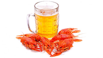 Food, Drinks, Beer HD wallpaper