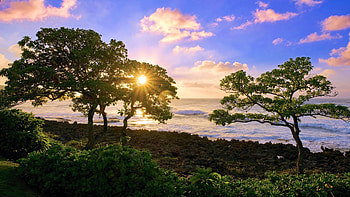Little sun rays peeking through - Turtle Beach, Oahu, sea, hawaii, trees, clouds, sky, sun, usa, sunrise HD wallpaper