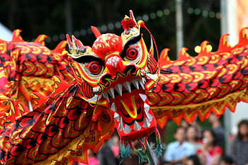 Holidays, New Year, Holiday, China, Chinese New Year HD wallpaper