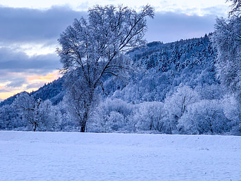 Inceput de iarna, ser, ger, cer, aer HD wallpaper