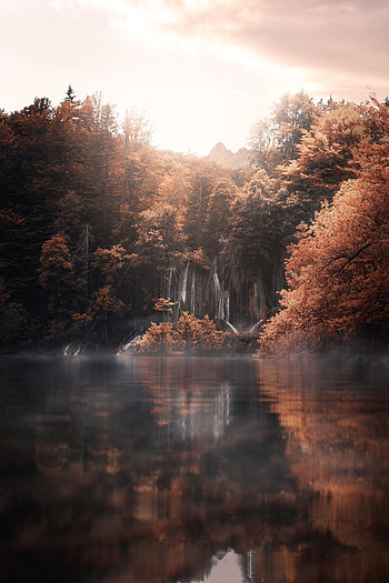 Landscape, Nature, Trees, Autumn, Lake, Fog HD phone wallpaper