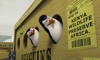 Madagascar - Penguins, madagascar, animation, film, penguins HD wallpaper
