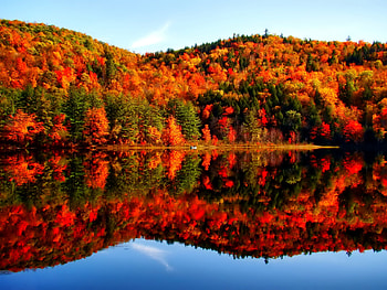 Autumn by the lake, fall, red, autumn, , lake HD wallpaper