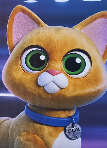 Michi, head, whiskers HD phone wallpaper