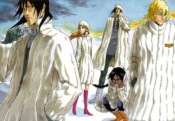bleach anime, bleach, orihime, anime, byakuya, yoruichi HD wallpaper