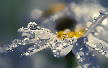 Background, Drops HD wallpaper
