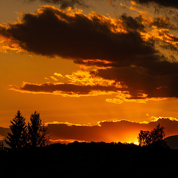Nature, Trees, Sunset, Sky, Sun, Silhouette HD phone wallpaper