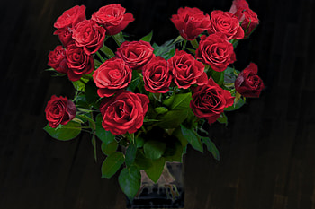 Red Roses, bouquet, leaves, petals, blossoms HD wallpaper
