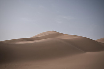 Nature, Sand, Desert, Dunes, Sandy, Links HD wallpaper