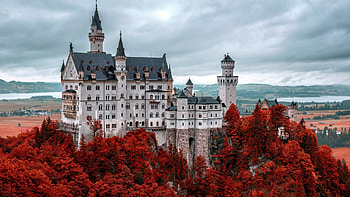 Red Autumn Trees Around Neuschwanstein Castle, red, clouds, trees, germany, autumn, sky, nature, castle HD wallpaper