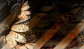 brown flower magic, magic, brown, hearts, beautiful, nature, flowers HD wallpaper