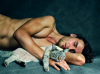 Friends, cat, sleeping, male HD wallpaper