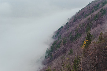 Nature, Grass, Fog, Slope, Hill HD wallpaper