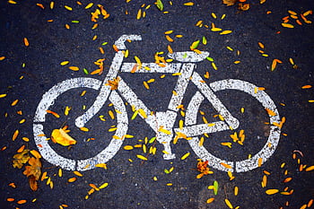 A bicycle lane symbol painted on an asphalt road covered with colorful autumn leaves. HD wallpaper