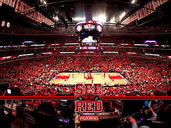 United Center, Chicago Bulls HD wallpaper
