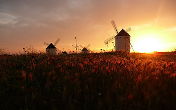 Nature, Sunset, Sun, Field, Silence, Mill, Serenity, Mills HD wallpaper