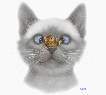 I'VE GOT MY EYE ON YOU JERRY, jerry, cat, tom, mouse HD wallpaper