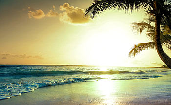 Tropical Beach Sunset , beach, sunset, nature HD wallpaper