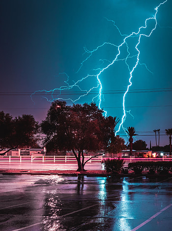 Cities, Night, Lightning, Wood, Road, Tree HD phone wallpaper