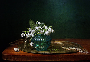 Snowdrops, Flowers, Plate, Vase, Shell HD wallpaper