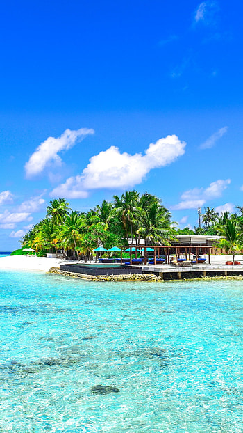 Palm-fringed beaches, Ocean serenity, Sun-kissed bliss, Tropical escape HD phone wallpaper