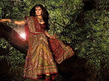 Celina Jaitley, bollywood, actress HD wallpaper