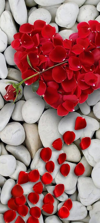 LoveLife, red, flooring, valentine, heart HD phone wallpaper