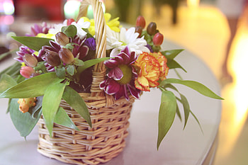 Flowers, Carnations, Beauty, Bouquet, Basket, Composition HD wallpaper