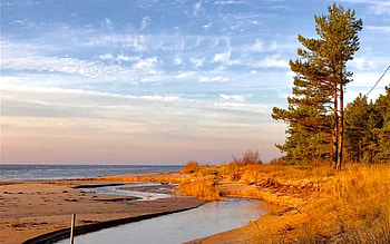 Coast of Latvia, sea, Latvia, coast, beach, trees HD wallpaper