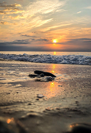 Nature, Sunset, Waves, Rock, Horizon, Coast, Stone HD phone wallpaper
