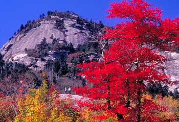 View from the attic window, trees, mountains, red gold autumn leaves HD wallpaper