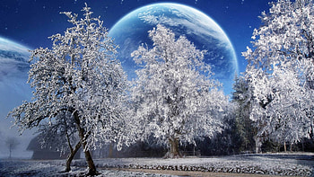 Winter For Computer | and . HD wallpaper