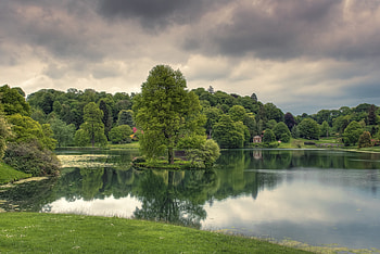 Nature, Trees, Grass, Lake, Reflection, Cloudy HD wallpaper