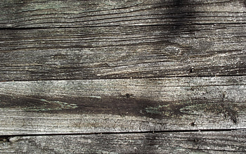 gray wooden background, , macro, horizontal wooden texture, wood planks, wooden backgrounds, wooden planks, gray backgrounds, wooden textures HD wallpaper
