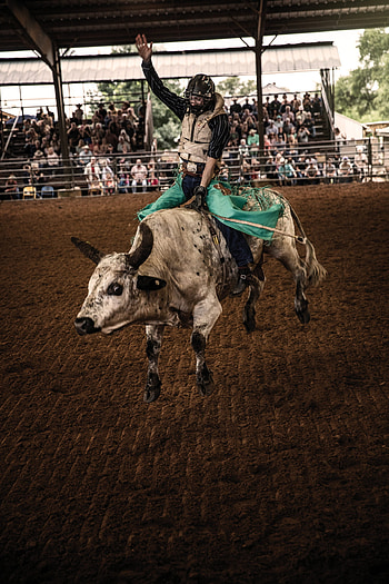 Tejas Rodeo Co, Rodeo HD phone wallpaper