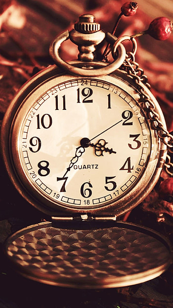 Vintage watch, Autumn berries, Dry chain, Dial HD phone wallpaper