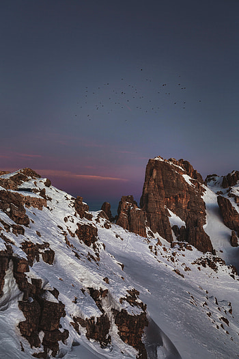 Nature, Birds, Mountains, Snow, Vertex, Tops HD phone wallpaper