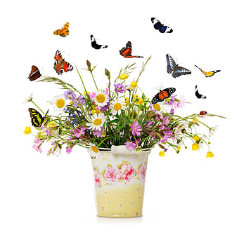 Wildflowers and friends, colors, magnificent, spring, fresh, wildflowers, butterfly, life, light, bright, love, nature, flowers, friends, tiny HD wallpaper