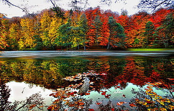 Seven Lakes National Park, Landscape, Turkey, Autumn, Forest HD wallpaper