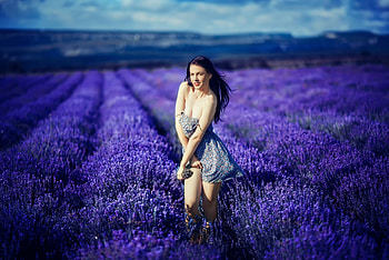 Katrina on Lavender Field, pose, model, lavender, brunette, flowers, girl, cleavage HD wallpaper