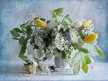 Beautiful still life, white, bouquet, graphy, beautiful flowers, cup, yellow, flowers, peace, harmony HD wallpaper