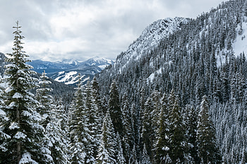 Nature, Trees, Mountains, Snow, Forest HD wallpaper