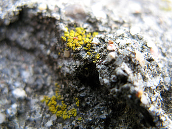 Just Cool!, stone, cool, jewel, rock HD wallpaper