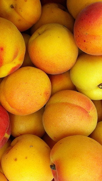 Apricot best , Baltana HD phone wallpaper